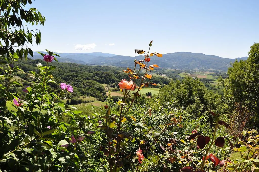 Bed And Breakfast Mugello Vicchio 0*,  Italy