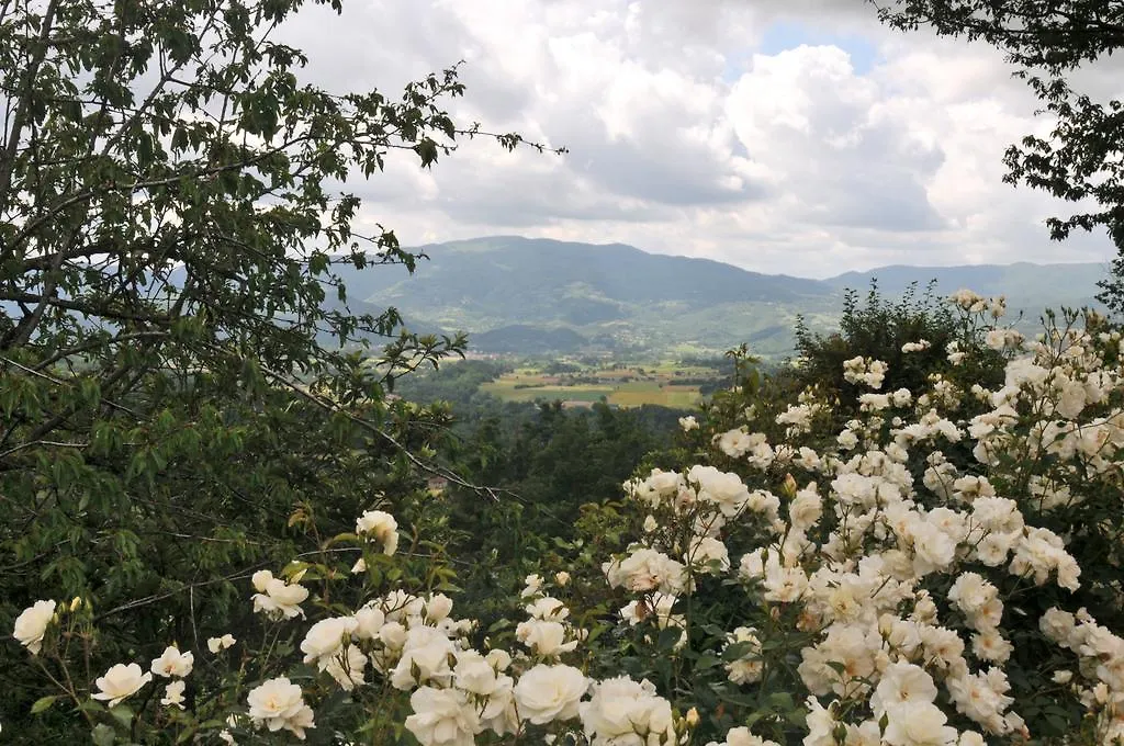 Bed And Breakfast Mugello Vicchio Apartment