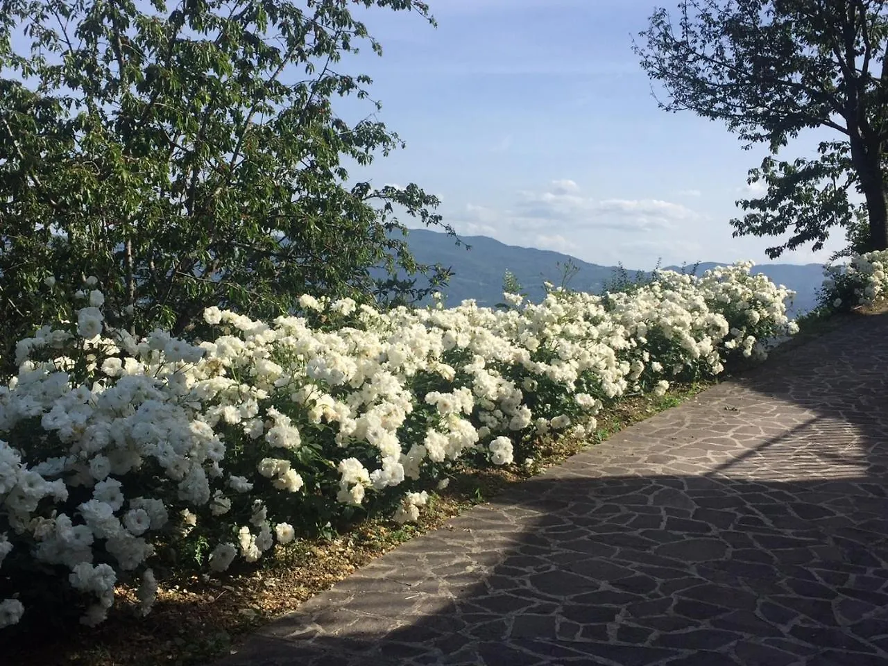 Apartment Bed And Breakfast Mugello Vicchio