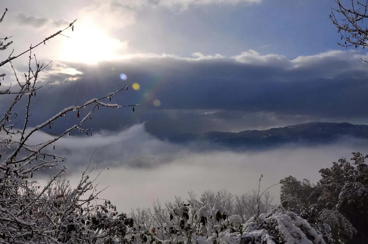 Bed And Breakfast Mugello Vicchio 0*,  Italy